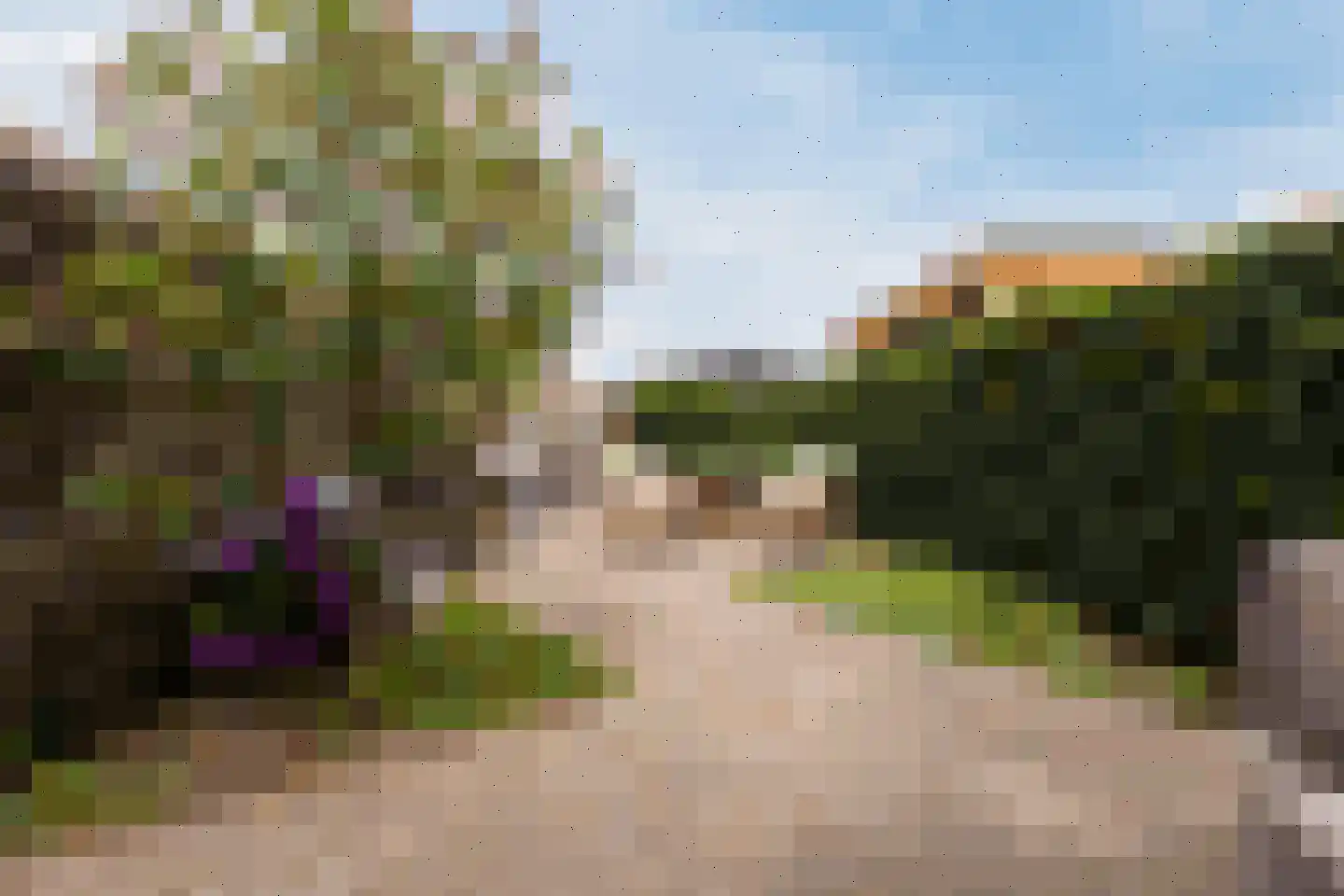 Borredreef 22 Vlijmen thumbnail 25