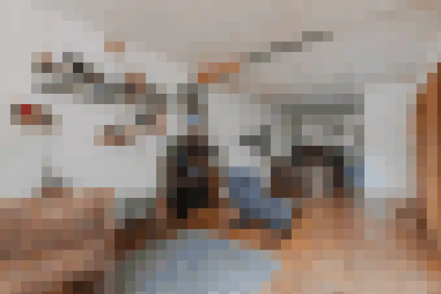 Borredreef 22 Vlijmen thumbnail 6