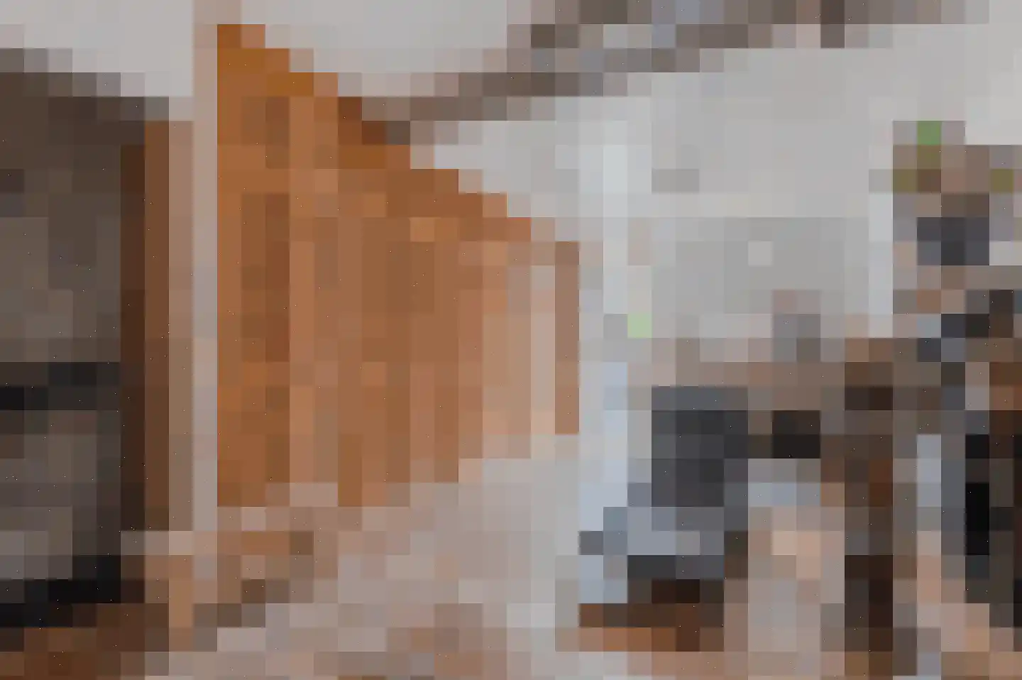 Borredreef 22 Vlijmen thumbnail 7