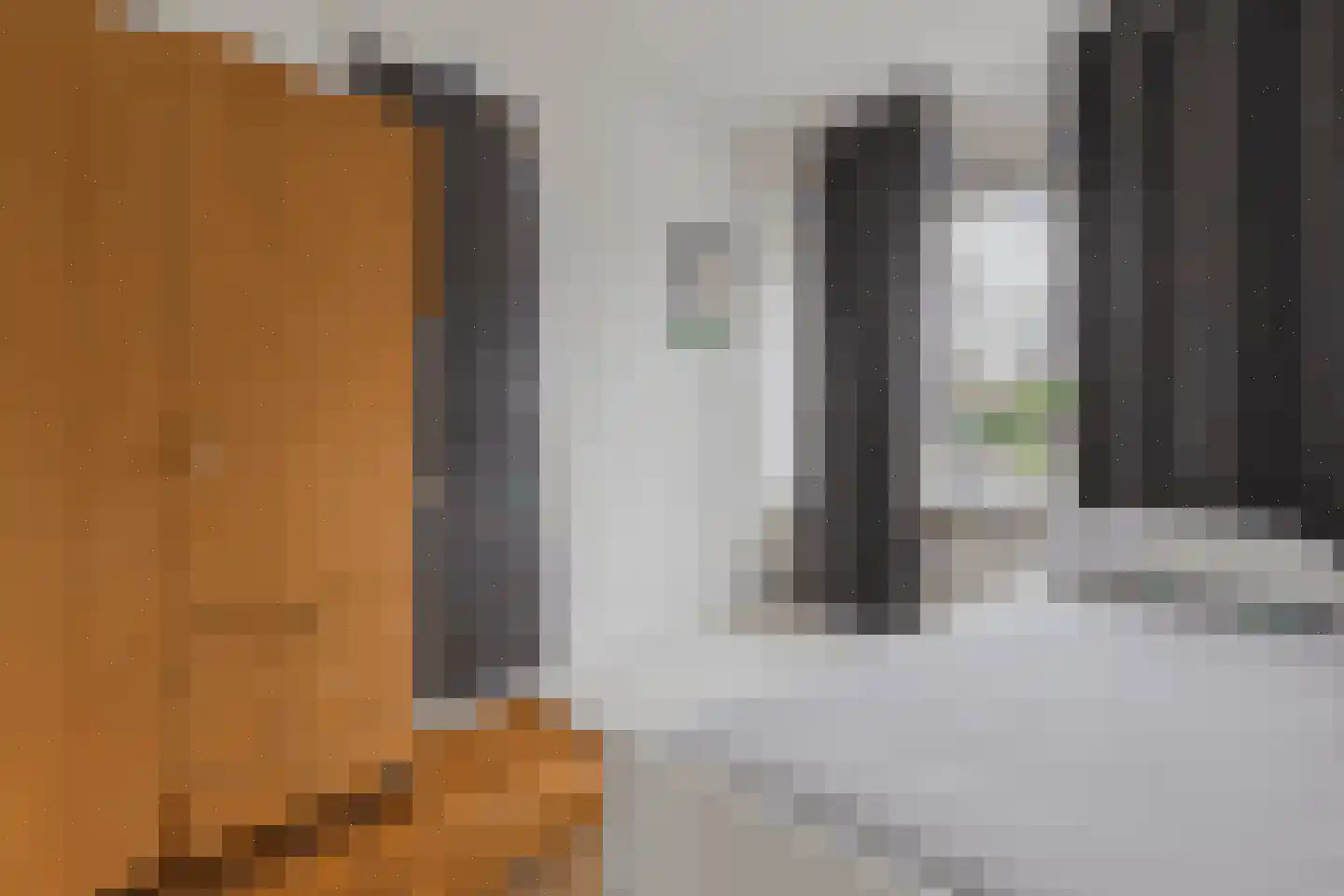 Borredreef 22 Vlijmen thumbnail 8