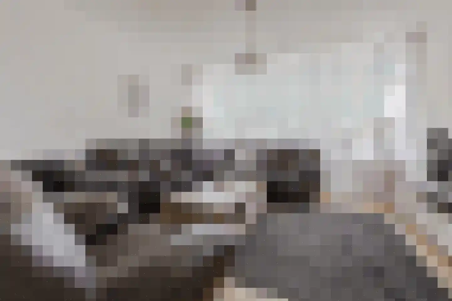 Borredreef 22 Vlijmen thumbnail 9