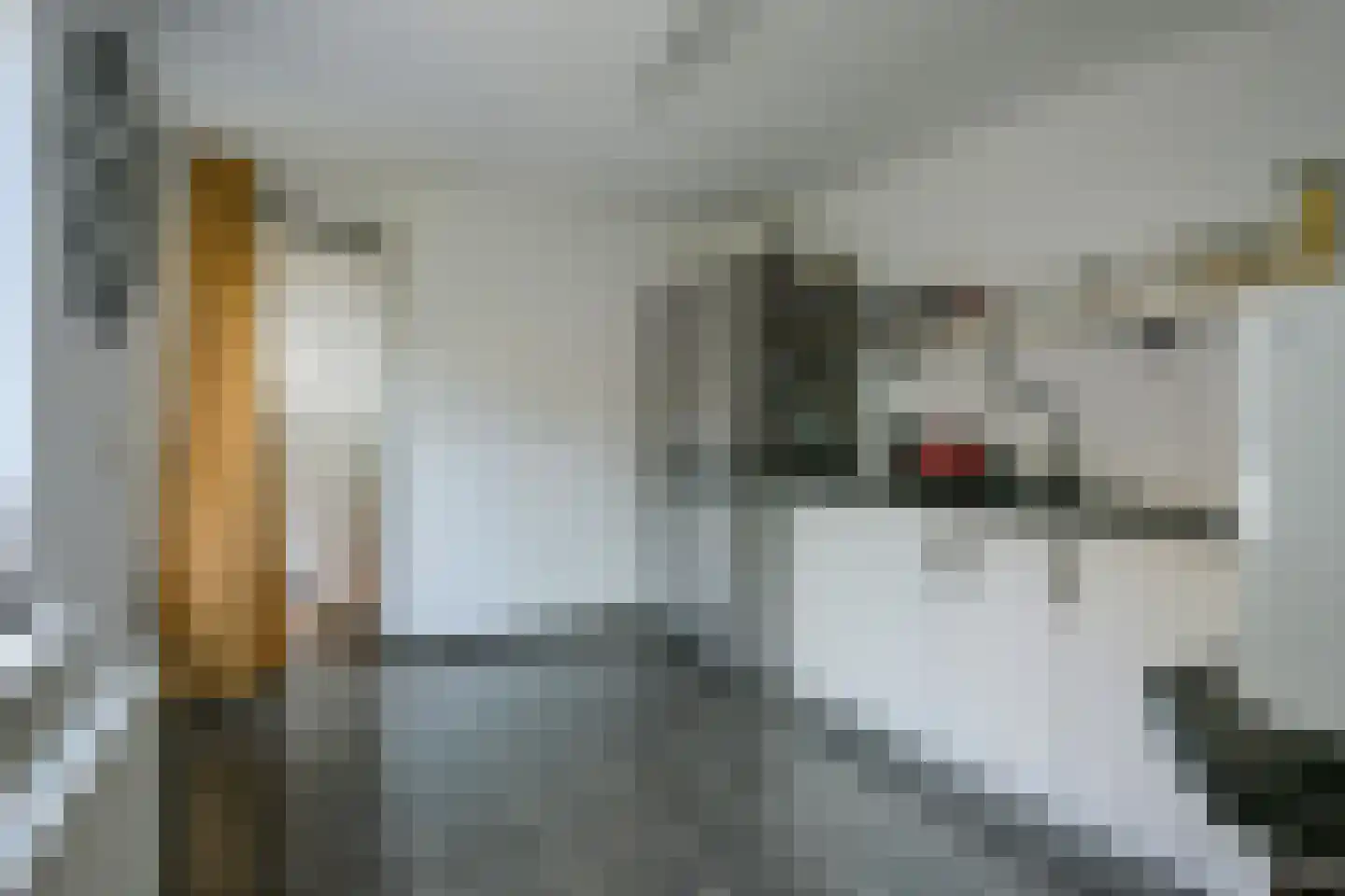 Borrekuilstraat 109 Geleen thumbnail 17