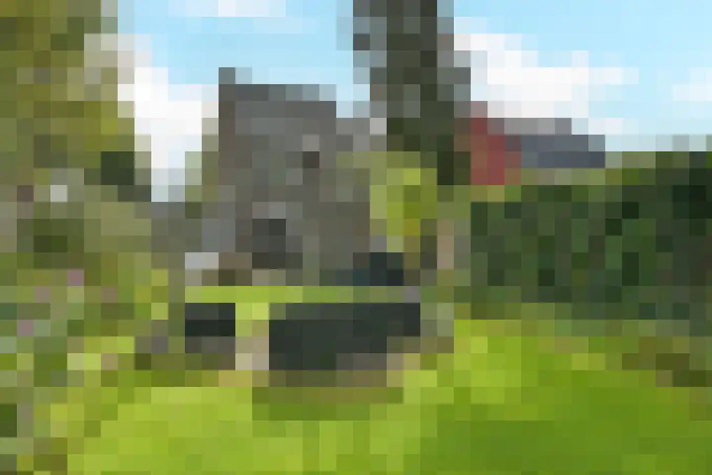 Borrekuilstraat 109 Geleen thumbnail 22