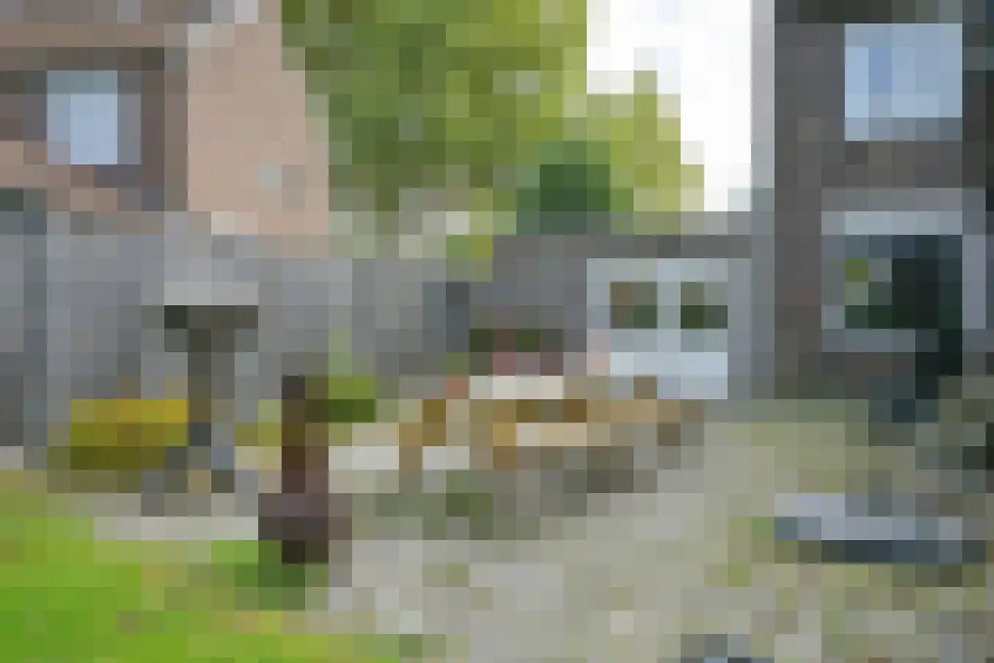 Borrekuilstraat 109 Geleen thumbnail 24