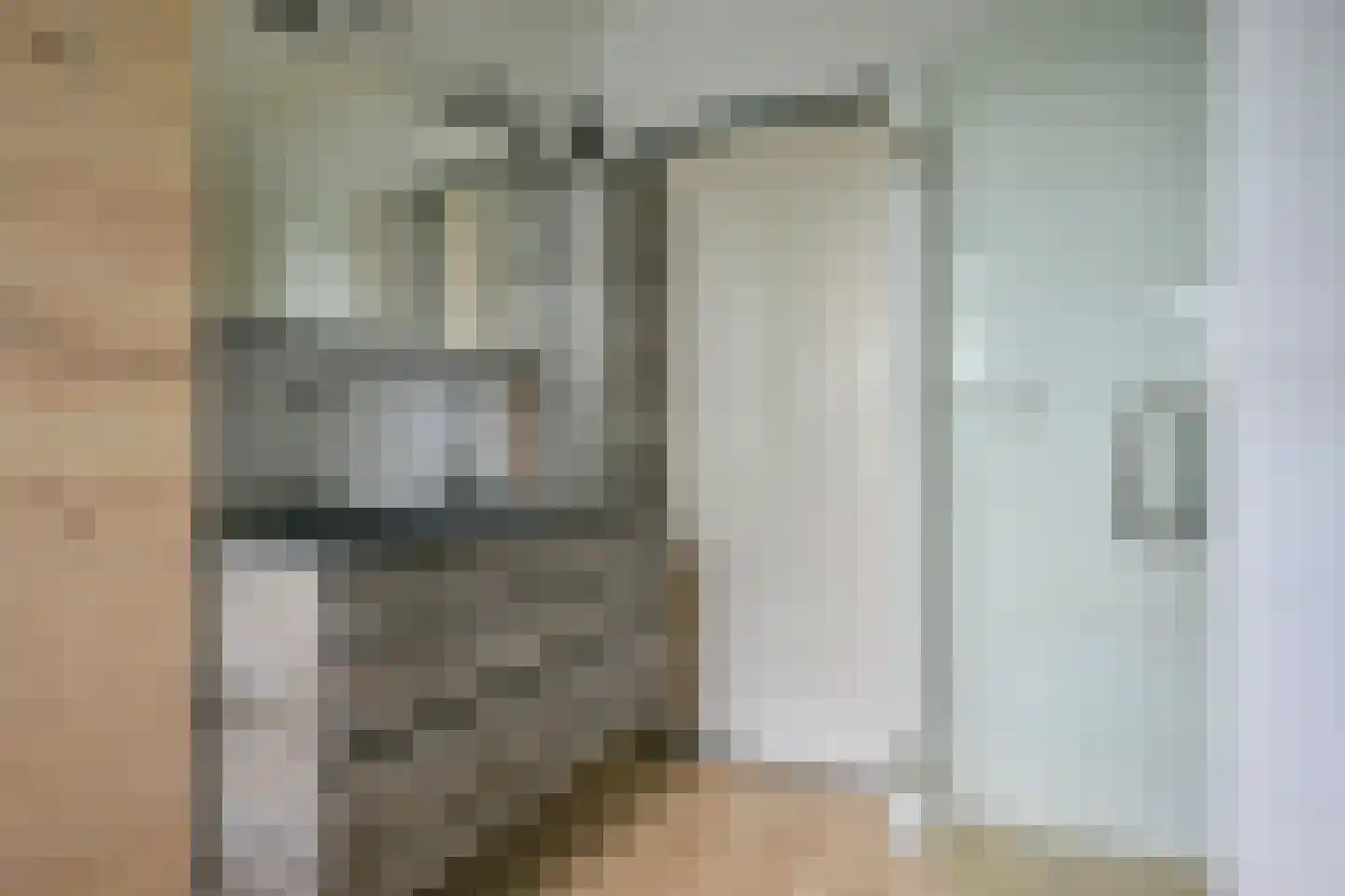 Borrekuilstraat 109 Geleen thumbnail 31
