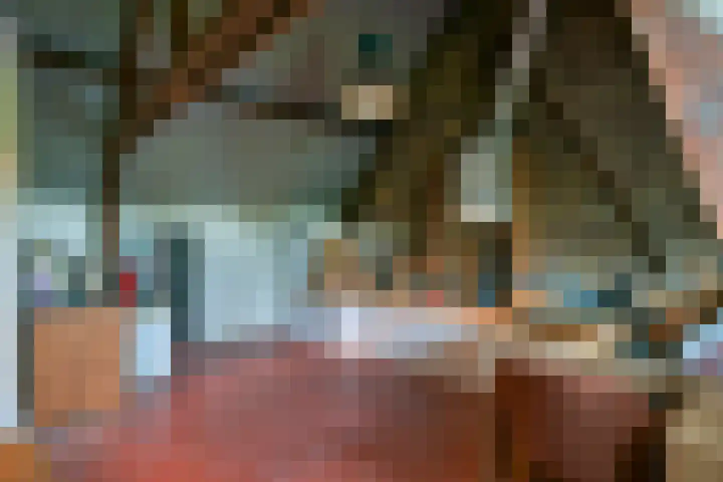 Borrekuilstraat 109 Geleen thumbnail 36