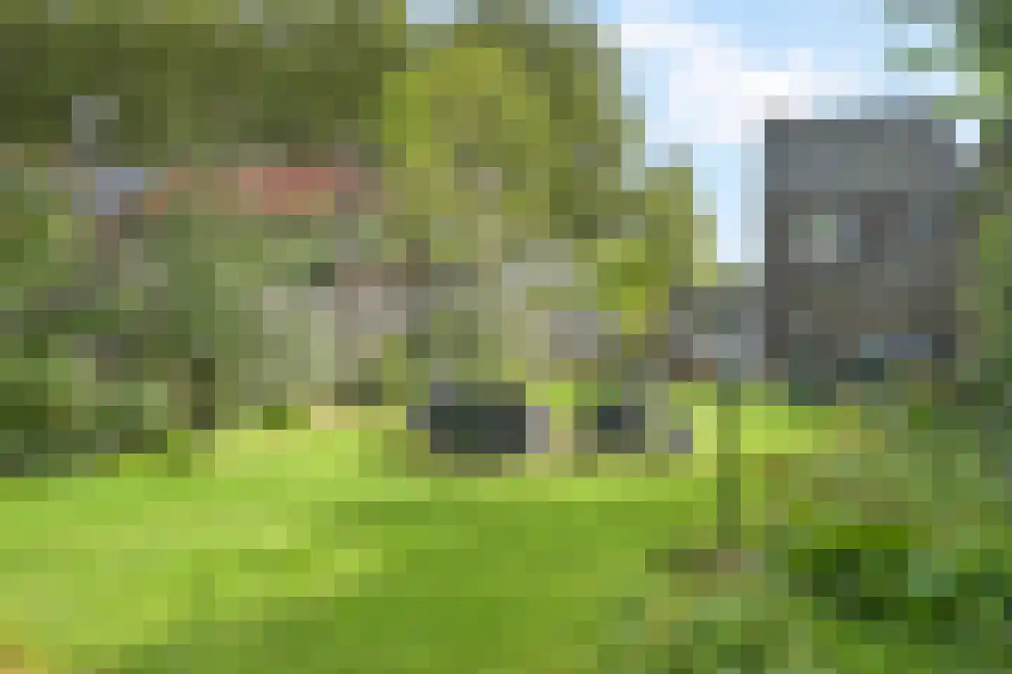 Borrekuilstraat 109 Geleen thumbnail 8