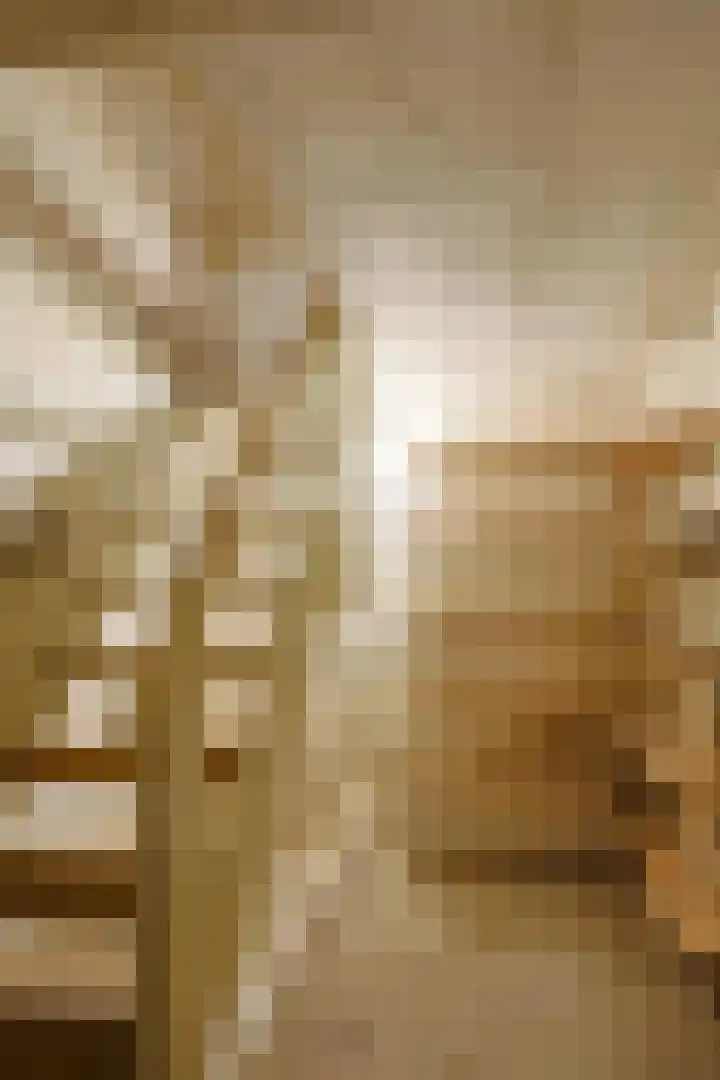 Borrekuilstraat 119 Geleen thumbnail 9