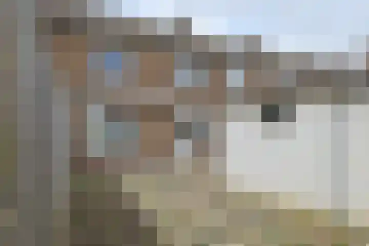 Borrekuilstraat 155 Geleen thumbnail 4