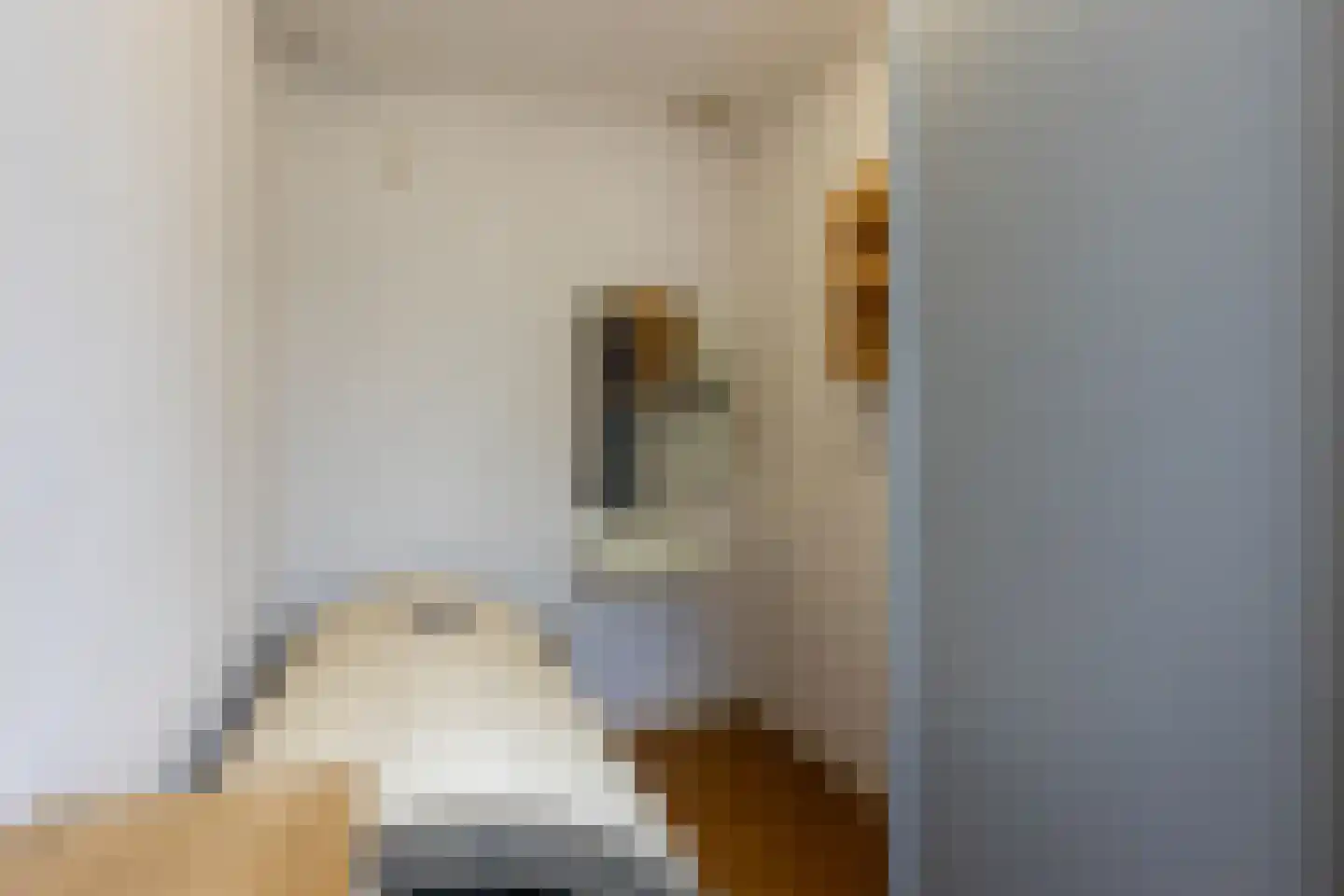 Borrekuilstraat 98 Geleen thumbnail 18