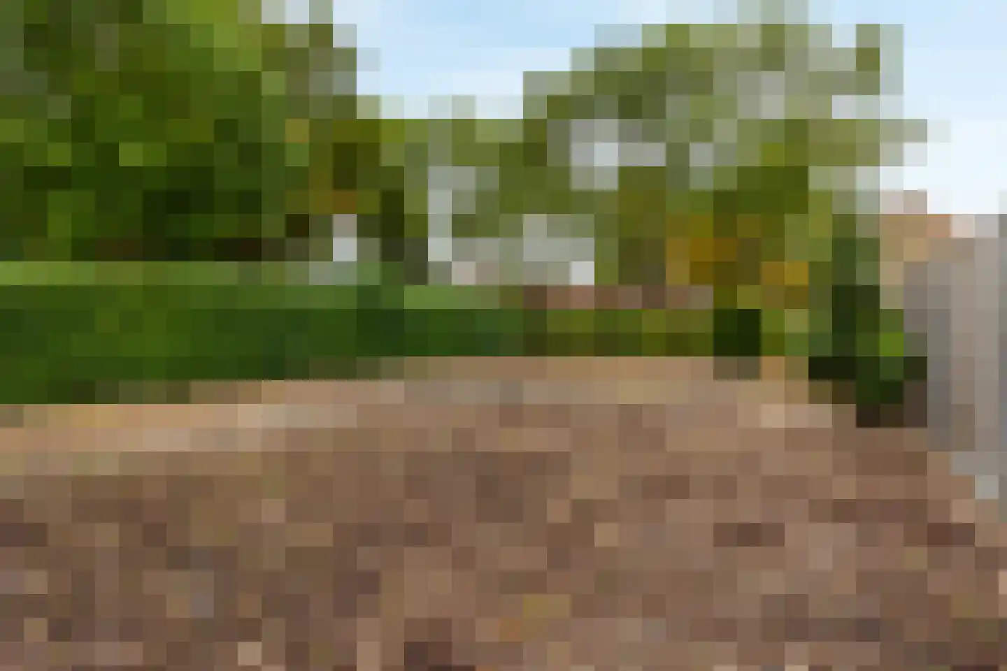 Borrekuilstraat 98 Geleen thumbnail 31