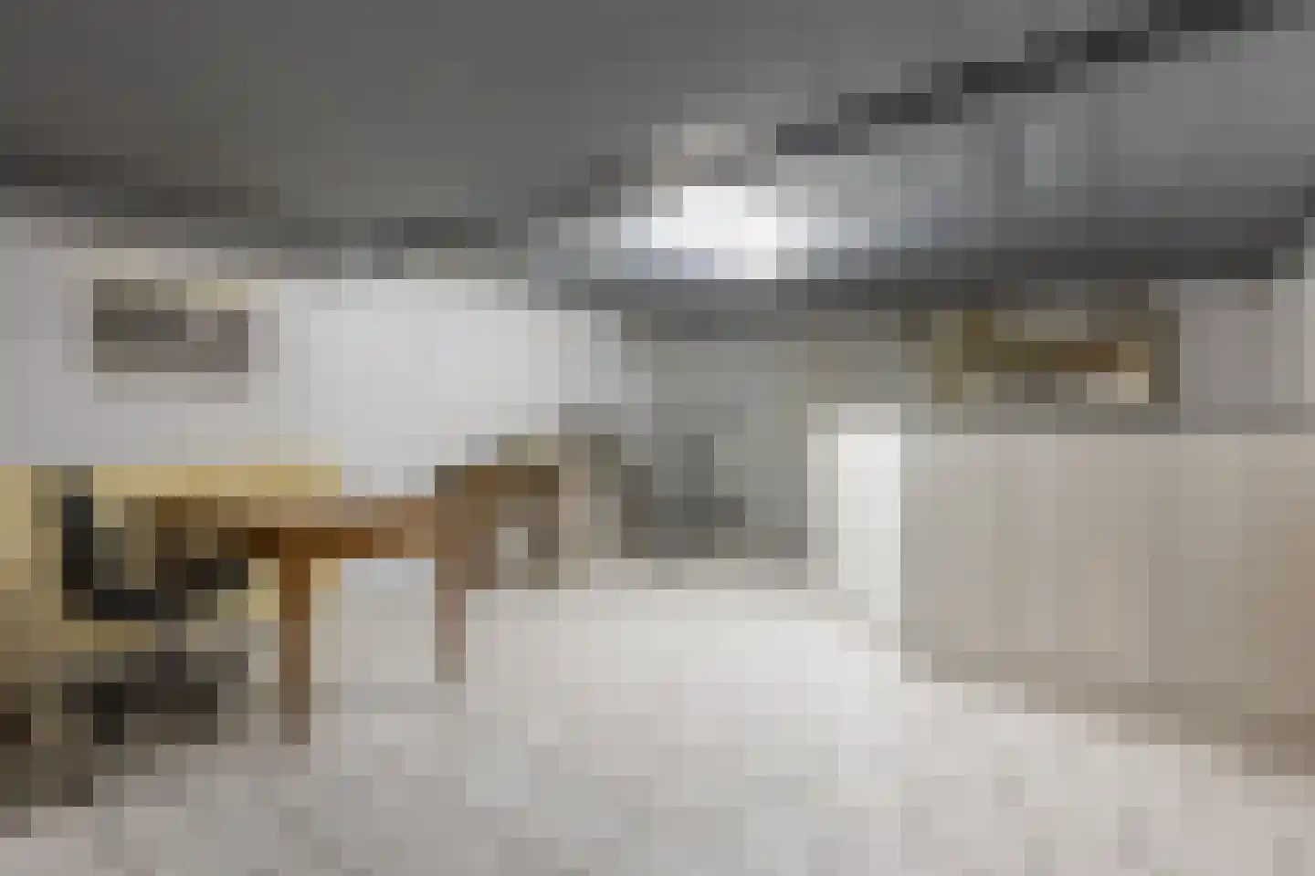 Borrekuilstraat 98 Geleen thumbnail 34