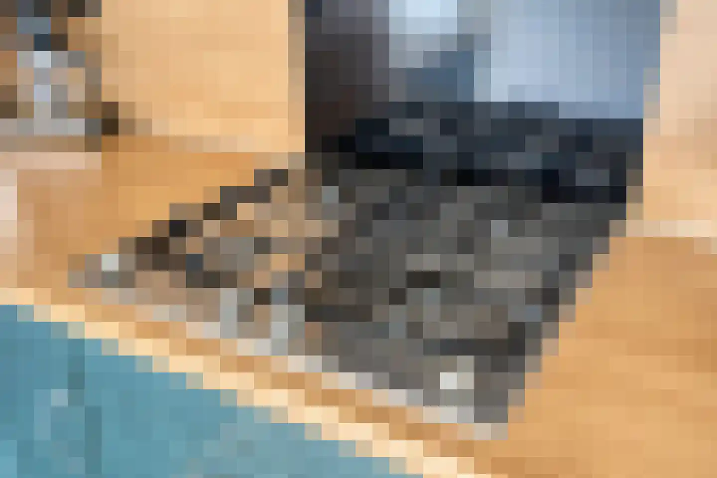 Borretstraat 39 Gemert thumbnail 15