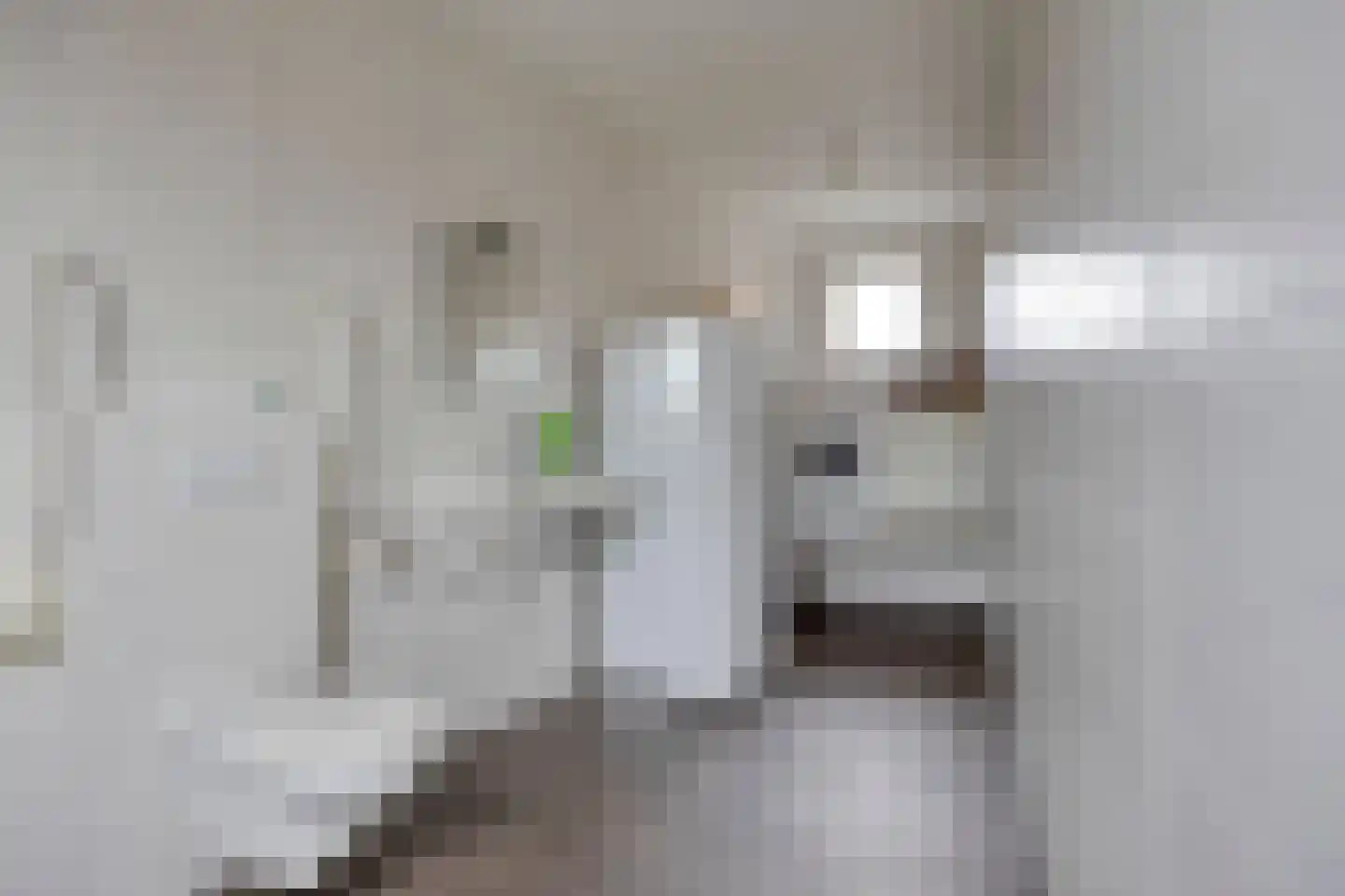 Borretstraat 39 Gemert thumbnail 16