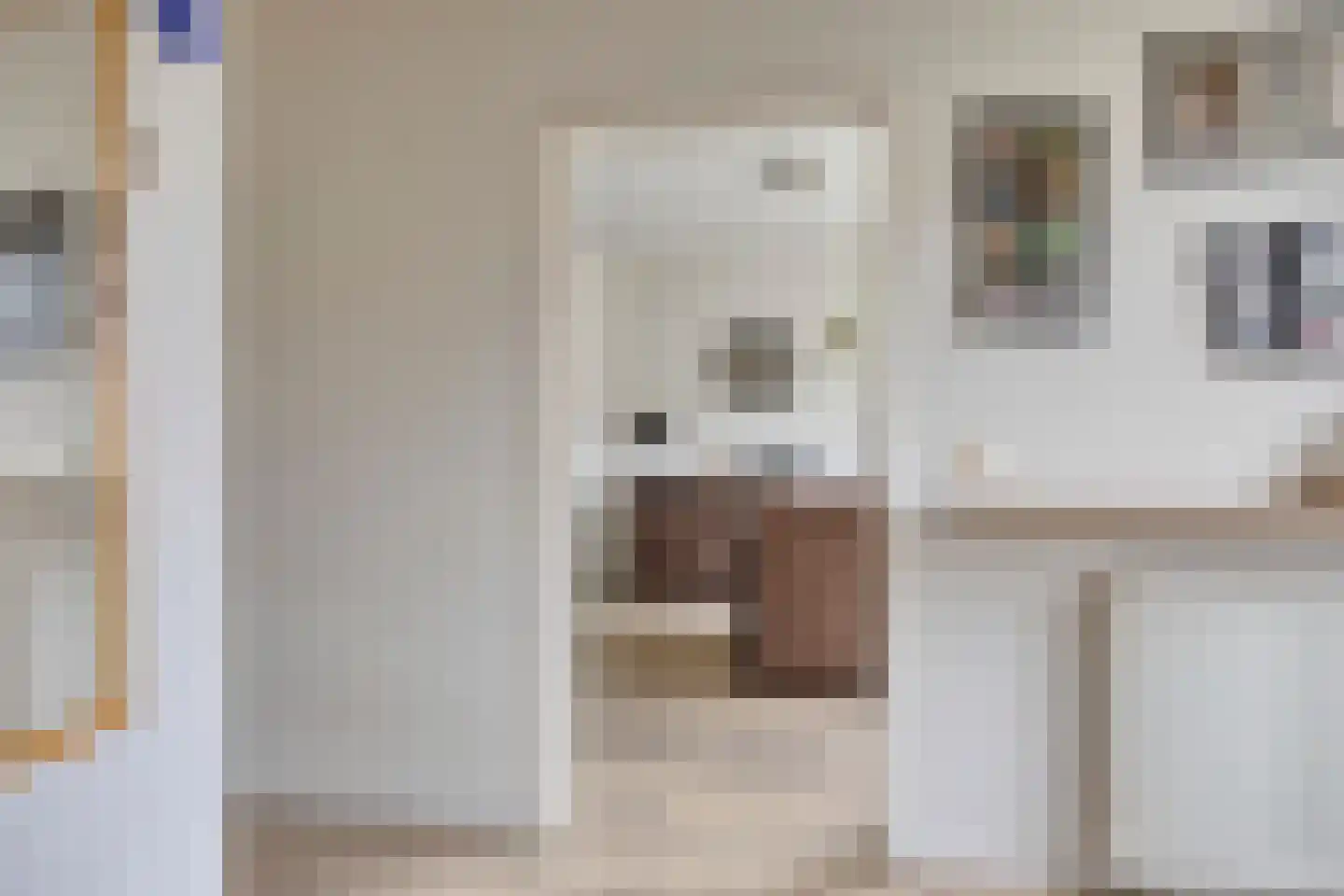 Borretstraat 39 Gemert thumbnail 21