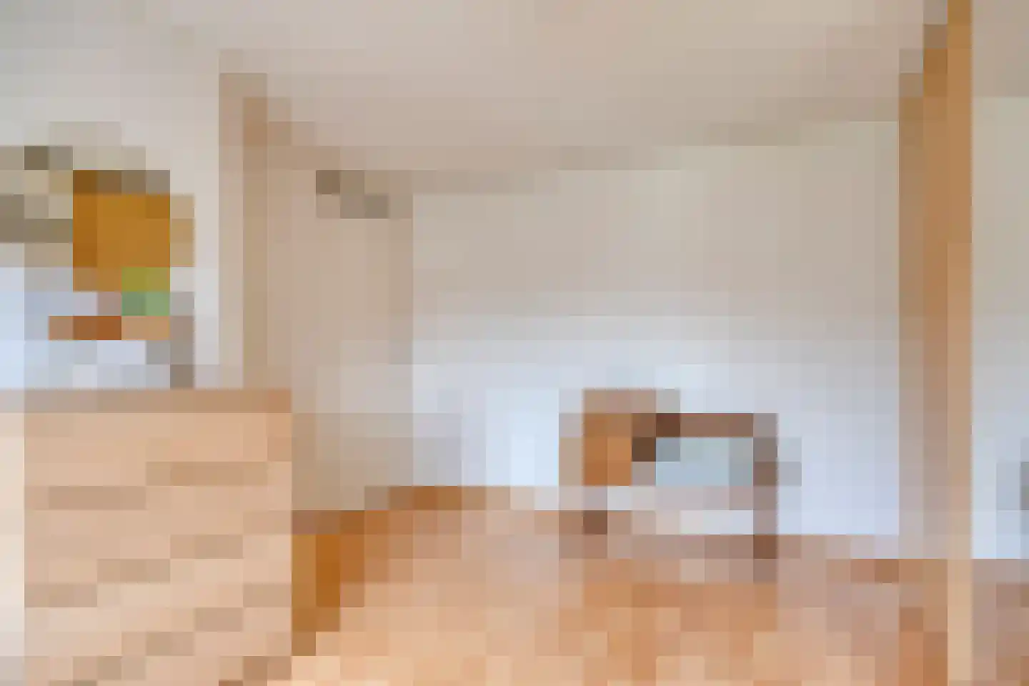 Borretstraat 39 Gemert thumbnail 28