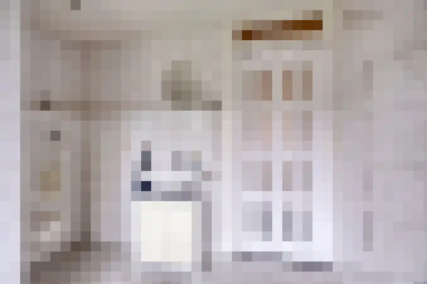 Borretstraat 39 Gemert thumbnail 32