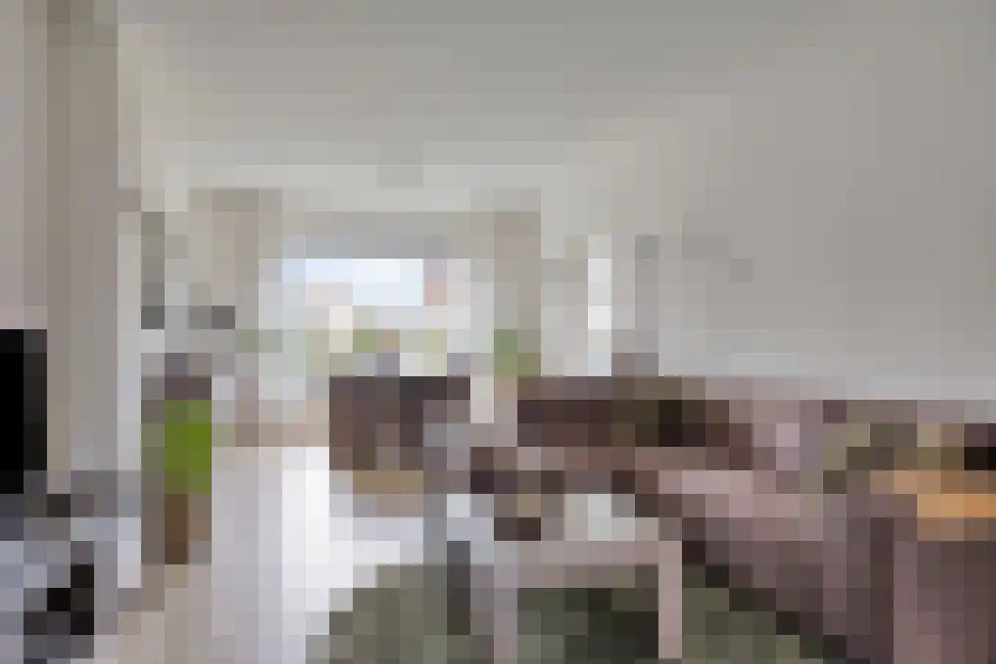 Borretstraat 39 Gemert thumbnail 4