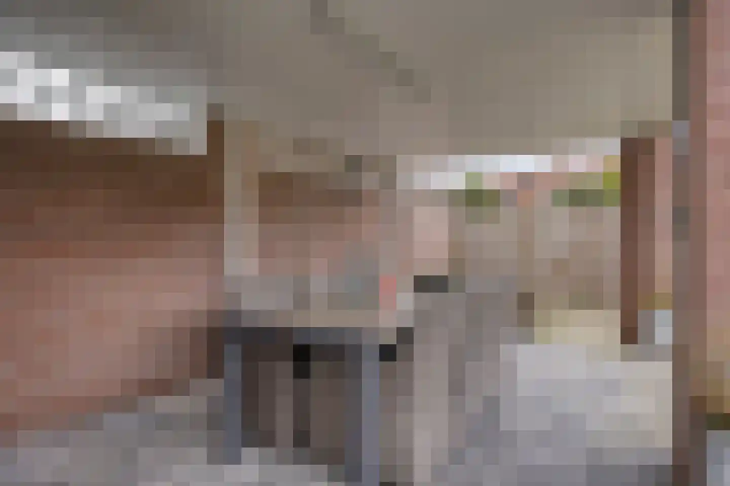 Borretstraat 39 Gemert thumbnail 40