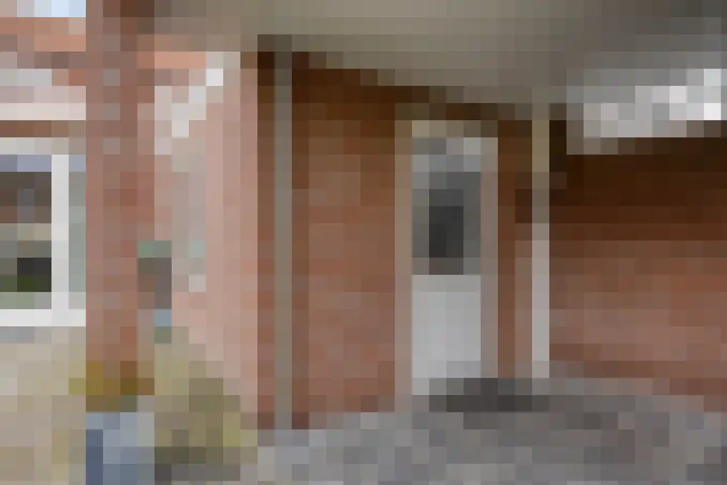 Borretstraat 39 Gemert thumbnail 41