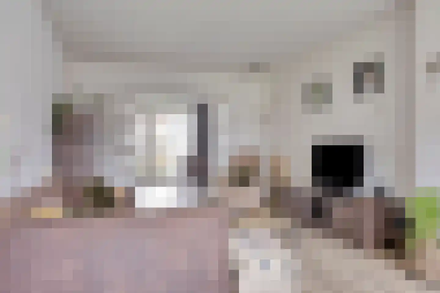 Borretstraat 39 Gemert thumbnail 6