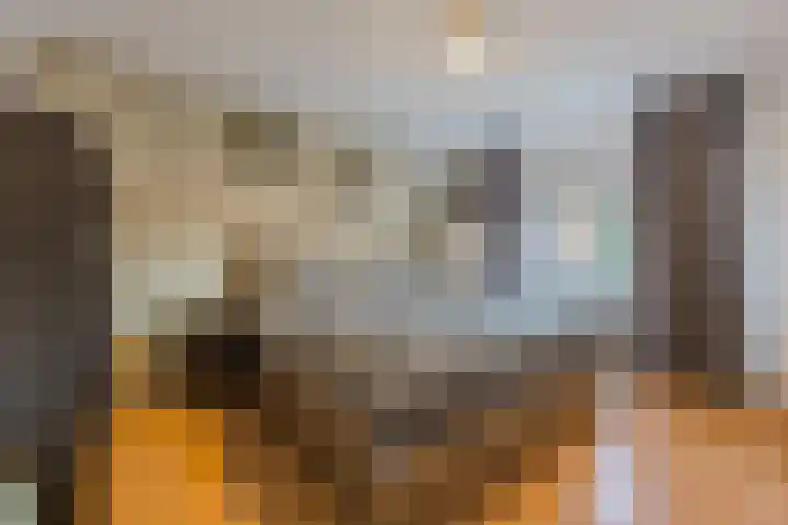 Borretstraat 50 Gemert thumbnail 13
