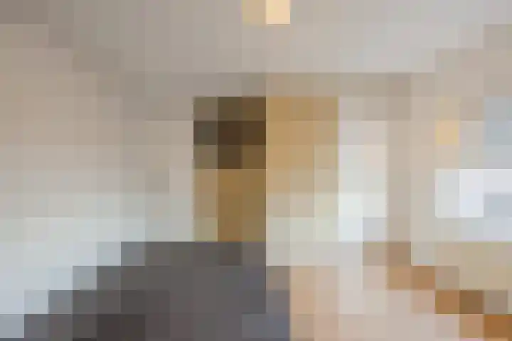 Borretstraat 50 Gemert thumbnail 16