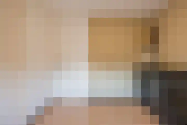 Borretstraat 50 Gemert thumbnail 17