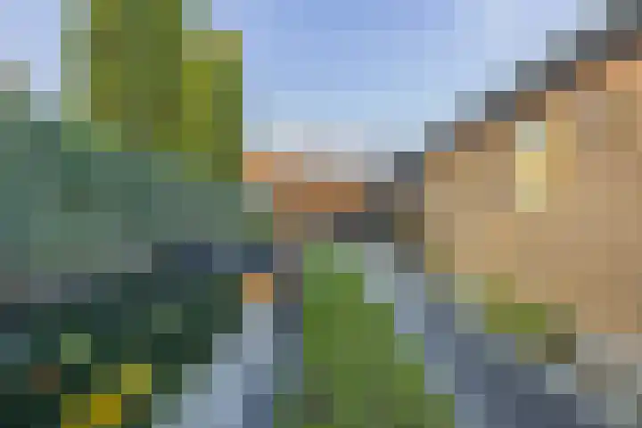 Borretstraat 50 Gemert thumbnail 25