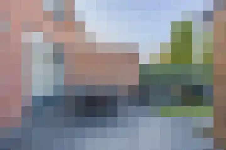 Borretstraat 50 Gemert thumbnail 28