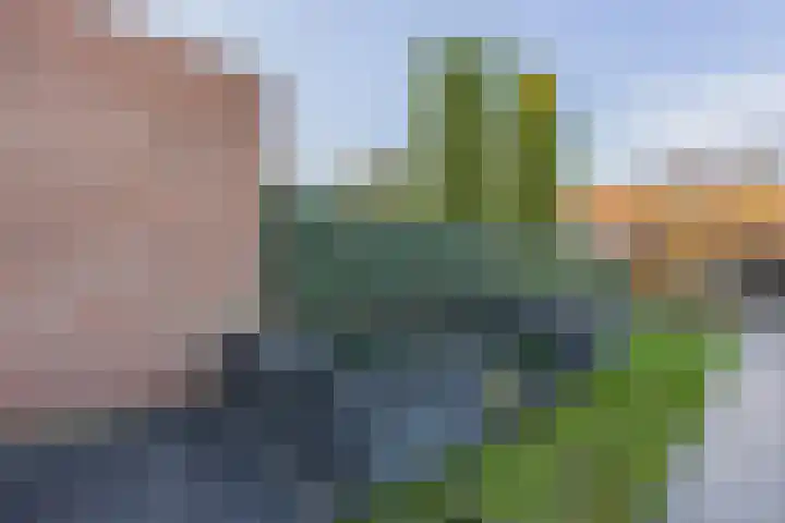 Borretstraat 50 Gemert thumbnail 30