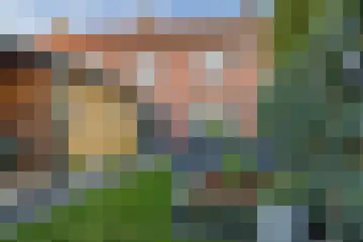 Borretstraat 50 Gemert thumbnail 32