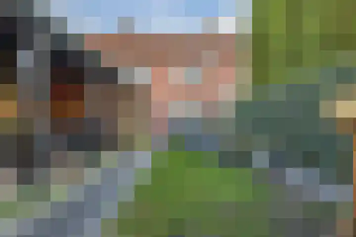 Borretstraat 50 Gemert thumbnail 33