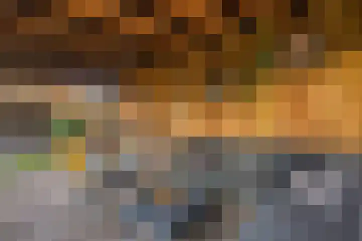 Borretstraat 50 Gemert thumbnail 34