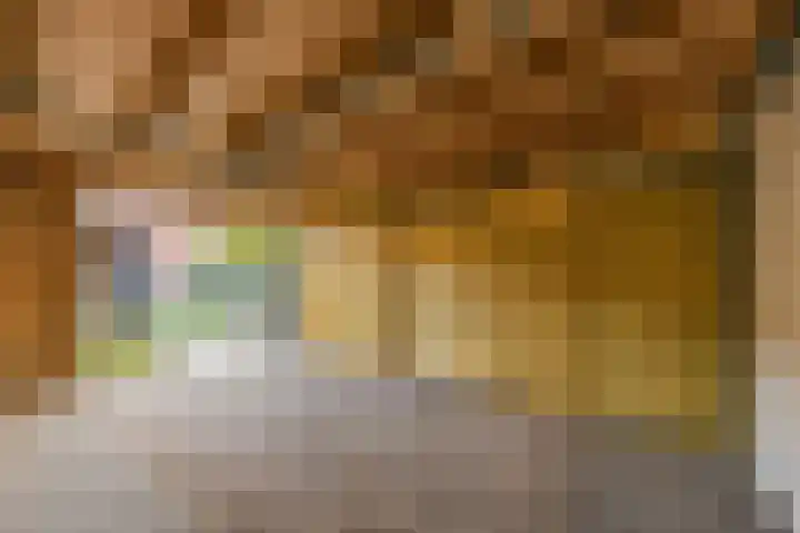 Borretstraat 50 Gemert thumbnail 35