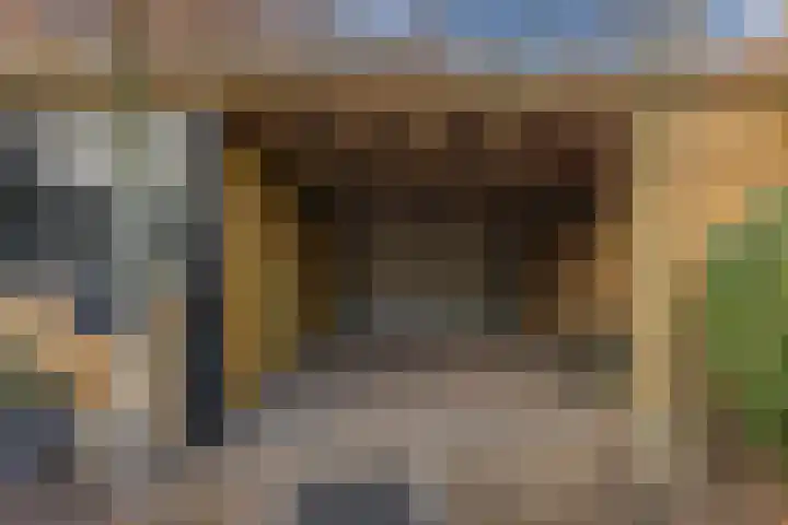 Borretstraat 50 Gemert thumbnail 36