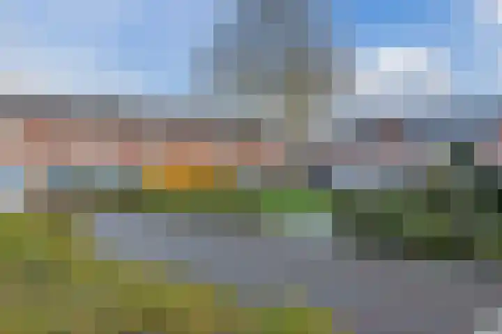Borretstraat 50 Gemert thumbnail 39