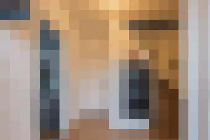 Borretstraat 50 Gemert thumbnail 4