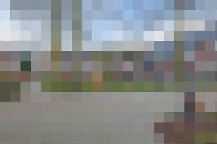 Borretstraat 50 Gemert thumbnail 40