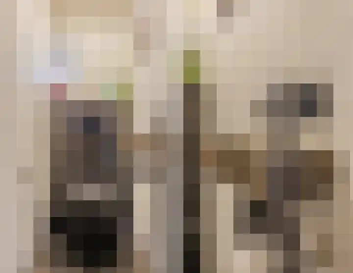 Borretstraat 50 Gemert thumbnail 6