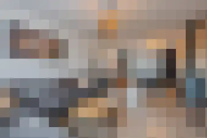 Borretstraat 50 Gemert thumbnail 7