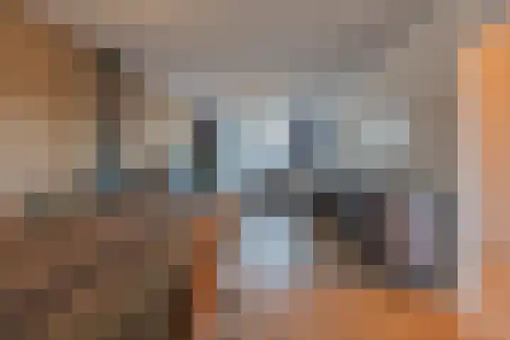 Borretstraat 50 Gemert thumbnail 9