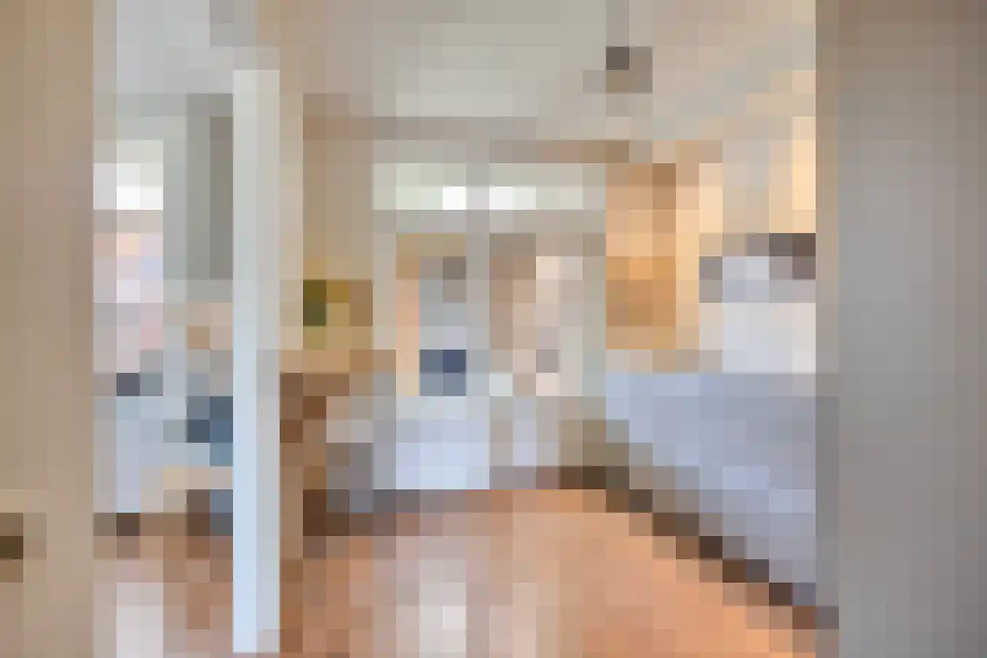 Borretstraat 58 Gemert thumbnail 15