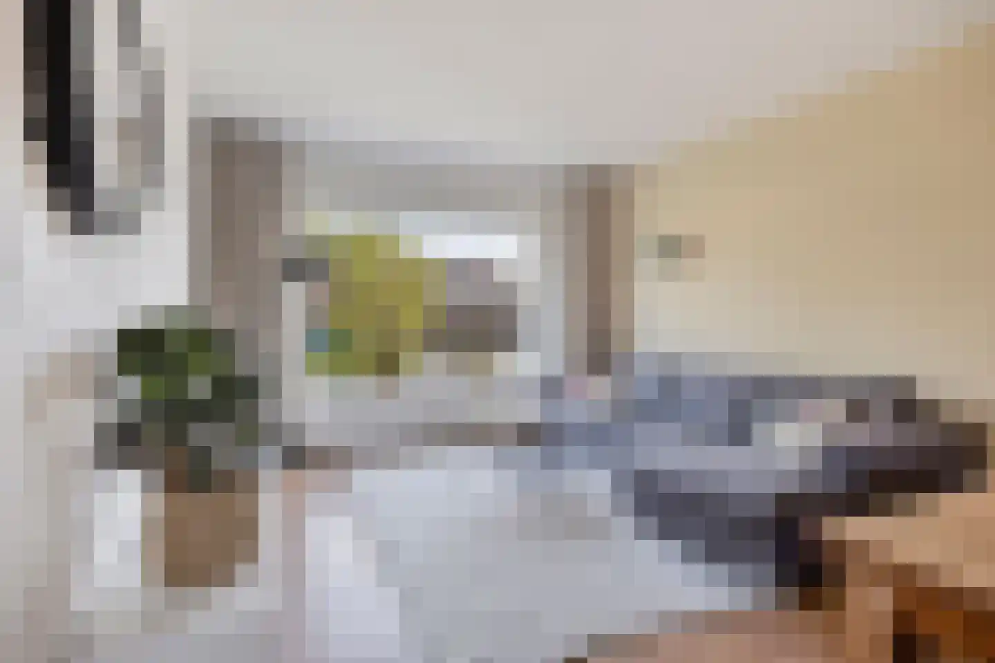 Borretstraat 58 Gemert thumbnail 17