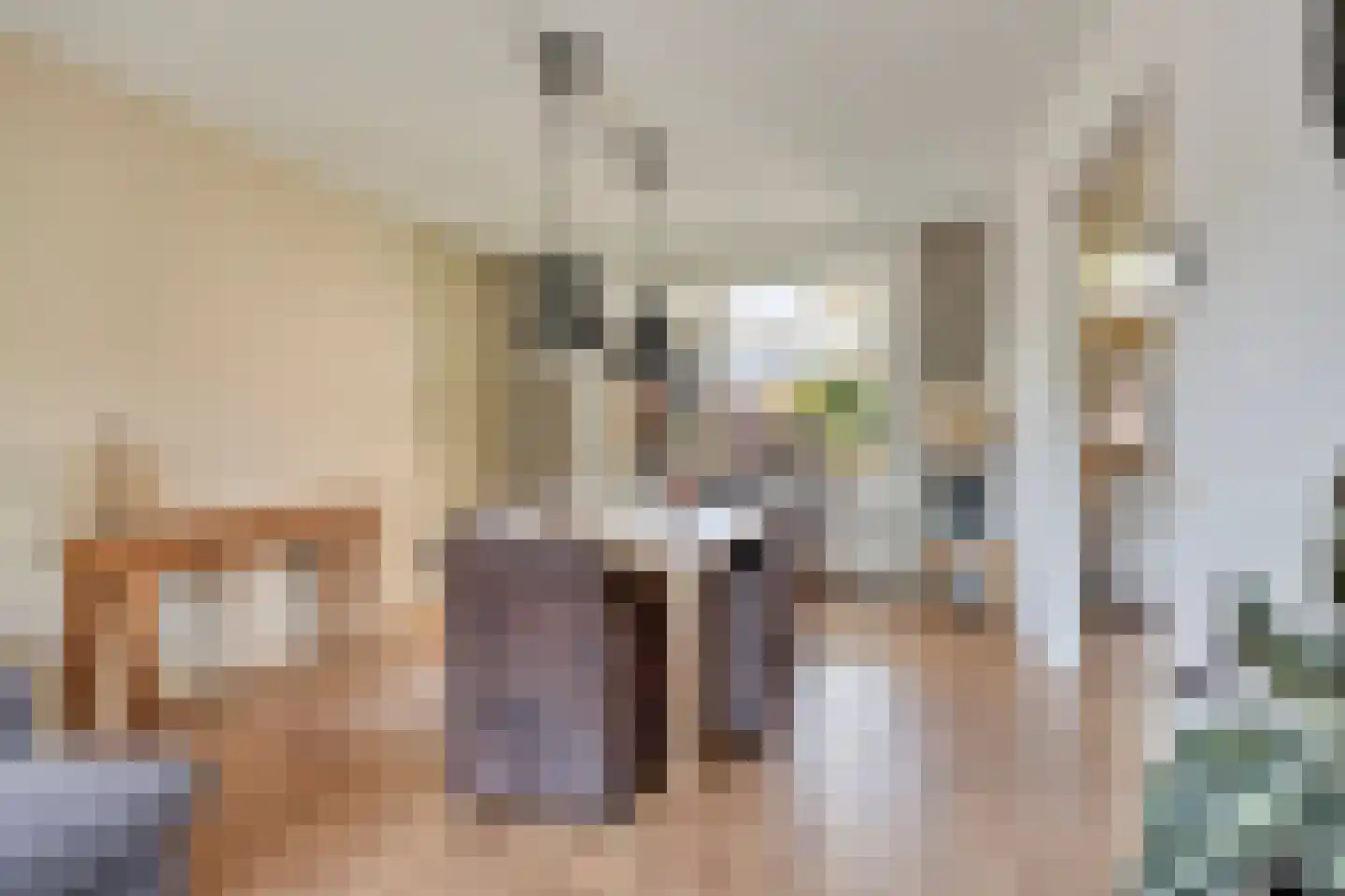 Borretstraat 58 Gemert thumbnail 19