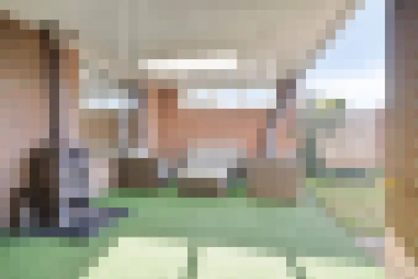 Borretstraat 58 Gemert thumbnail 29