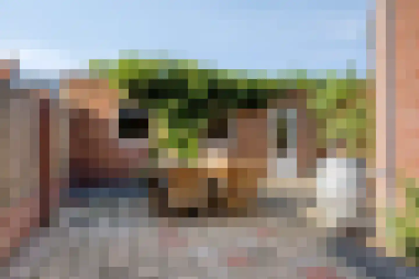 Borretstraat 58 Gemert thumbnail 31