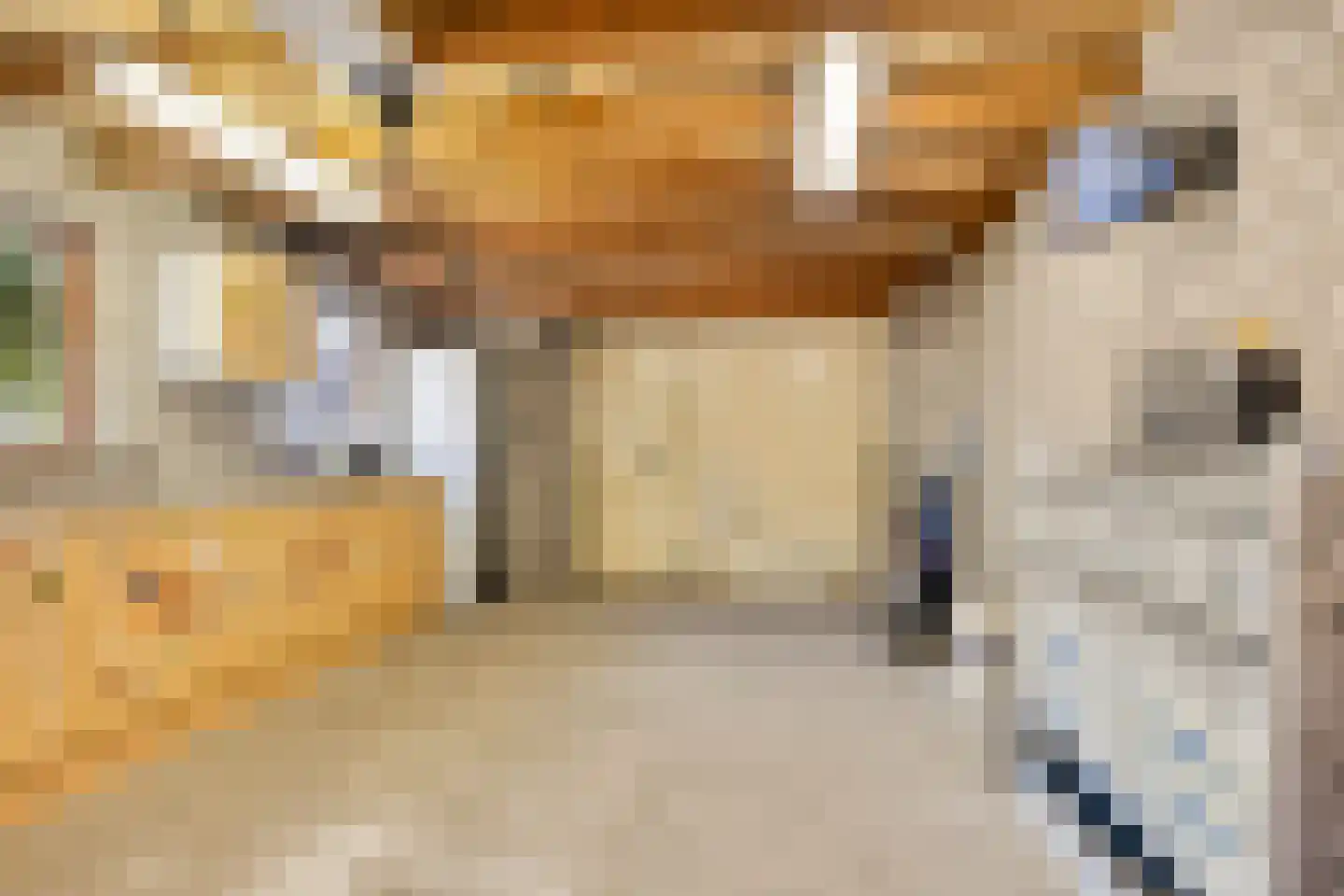 Borretstraat 58 Gemert thumbnail 36