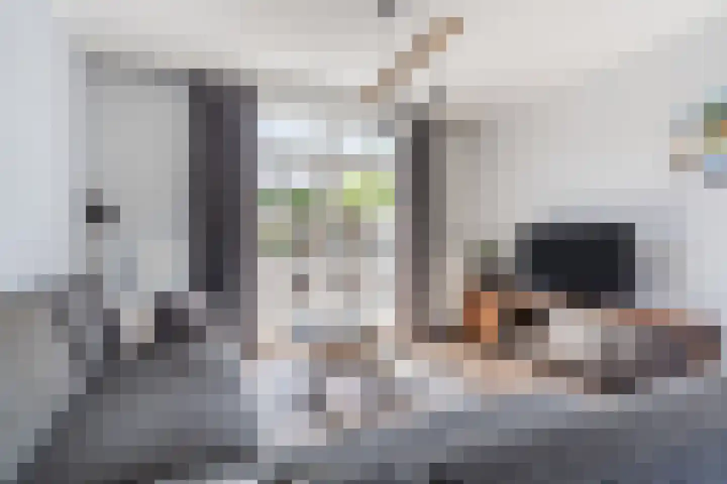 Borretstraat 7 Gemert thumbnail 11