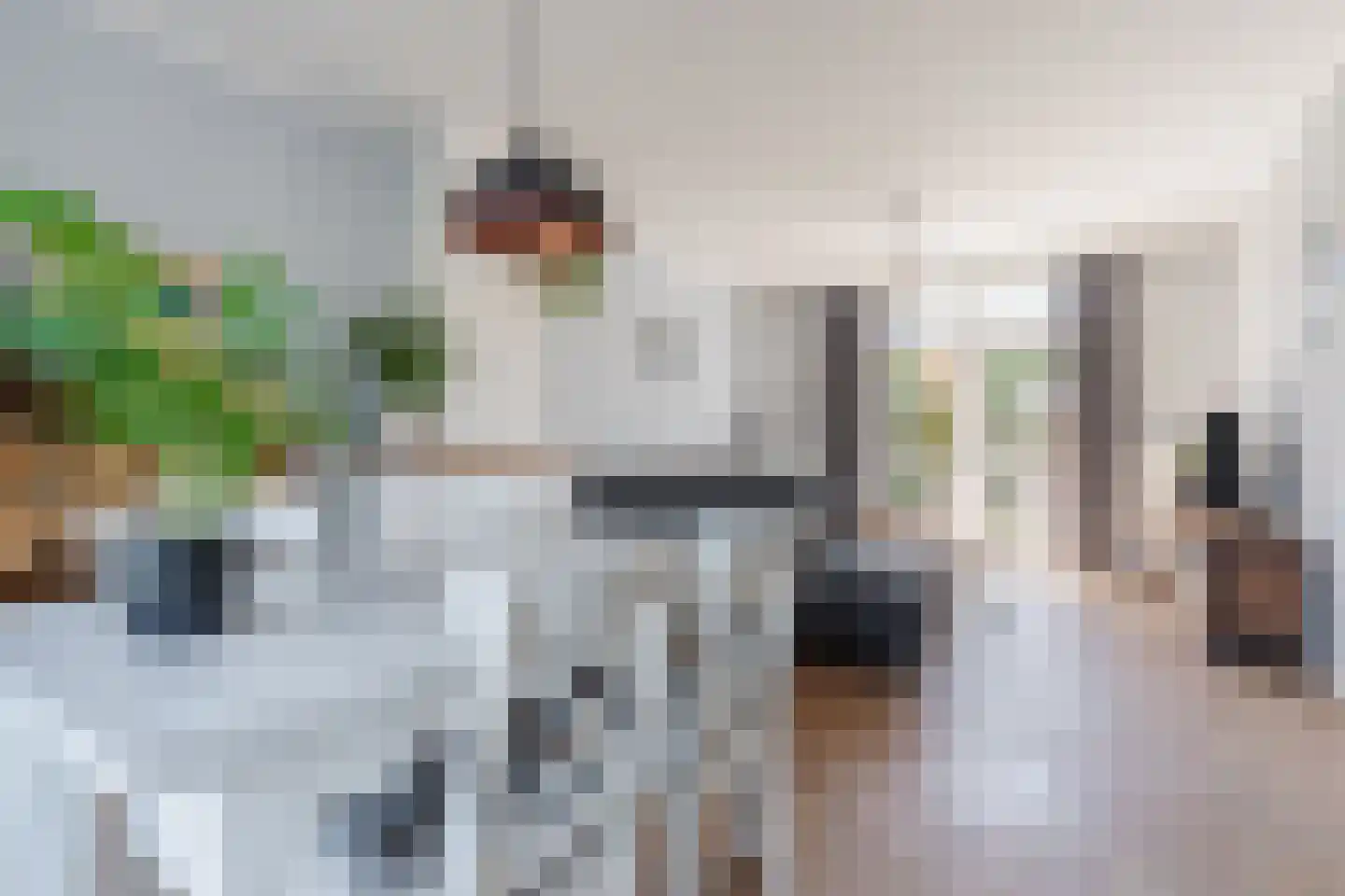 Borretstraat 7 Gemert thumbnail 14